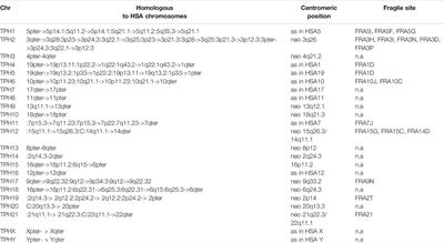 First Comprehensive Characterization of Phayre’s Leaf-Monkey (Trachypithecus phayrei) Karyotype